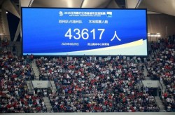 网球赛事直播在线观看排球饮食营养2024网球直播免费网minecraft ufc